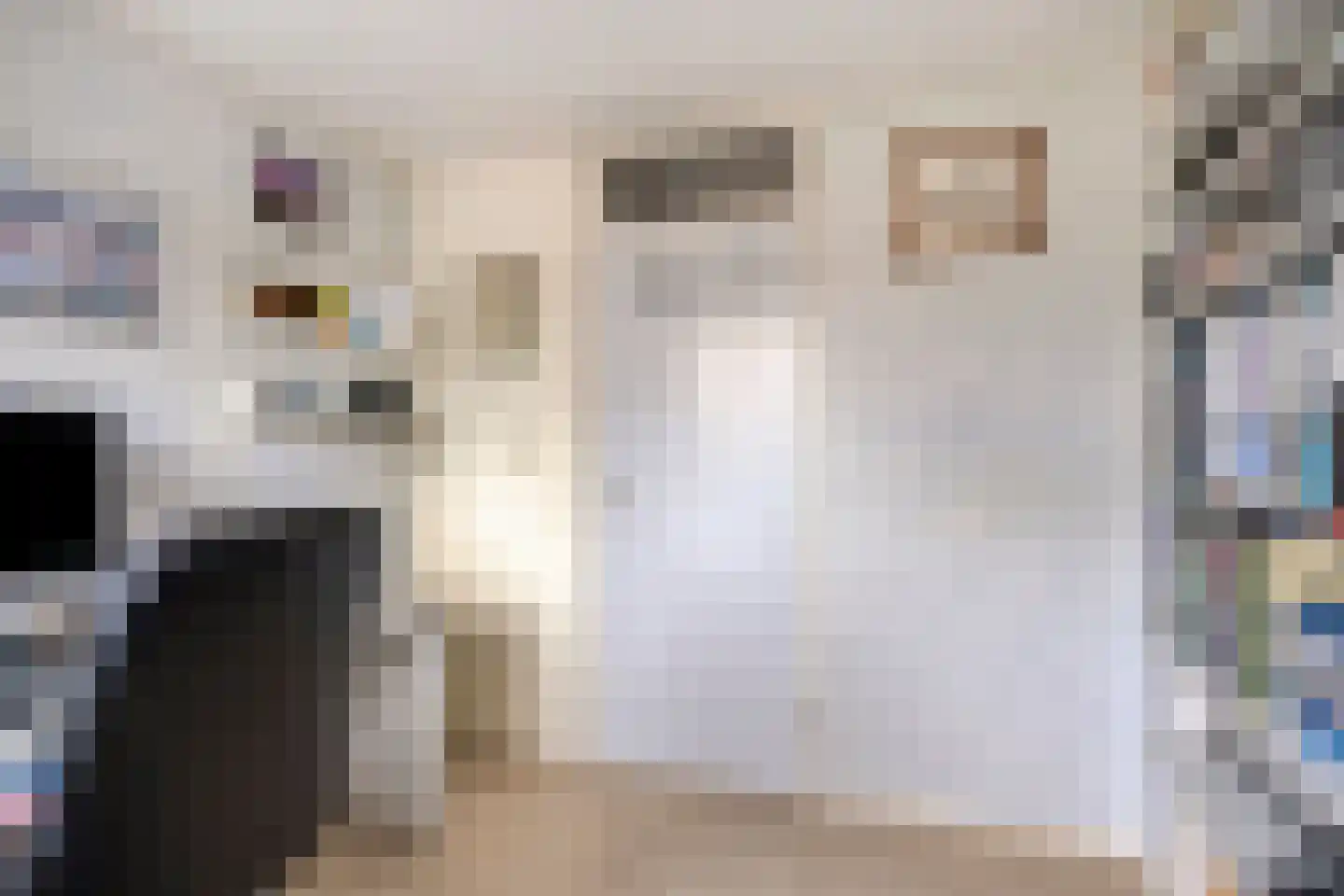 Looierstraat 21 Duiven thumbnail 21