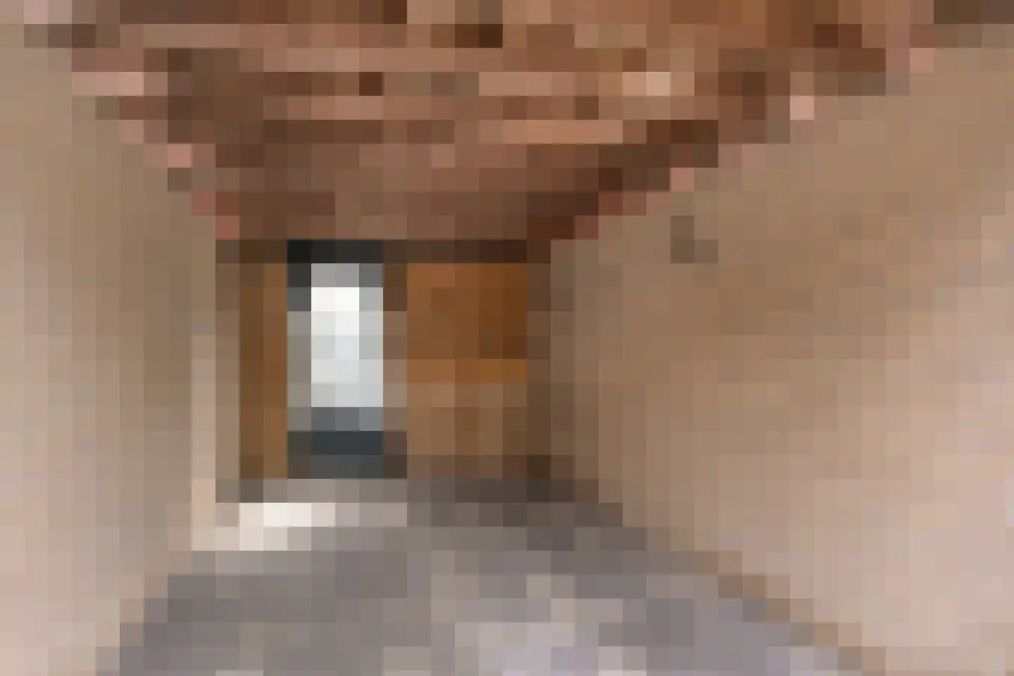 Looierstraat 21 Duiven thumbnail 32