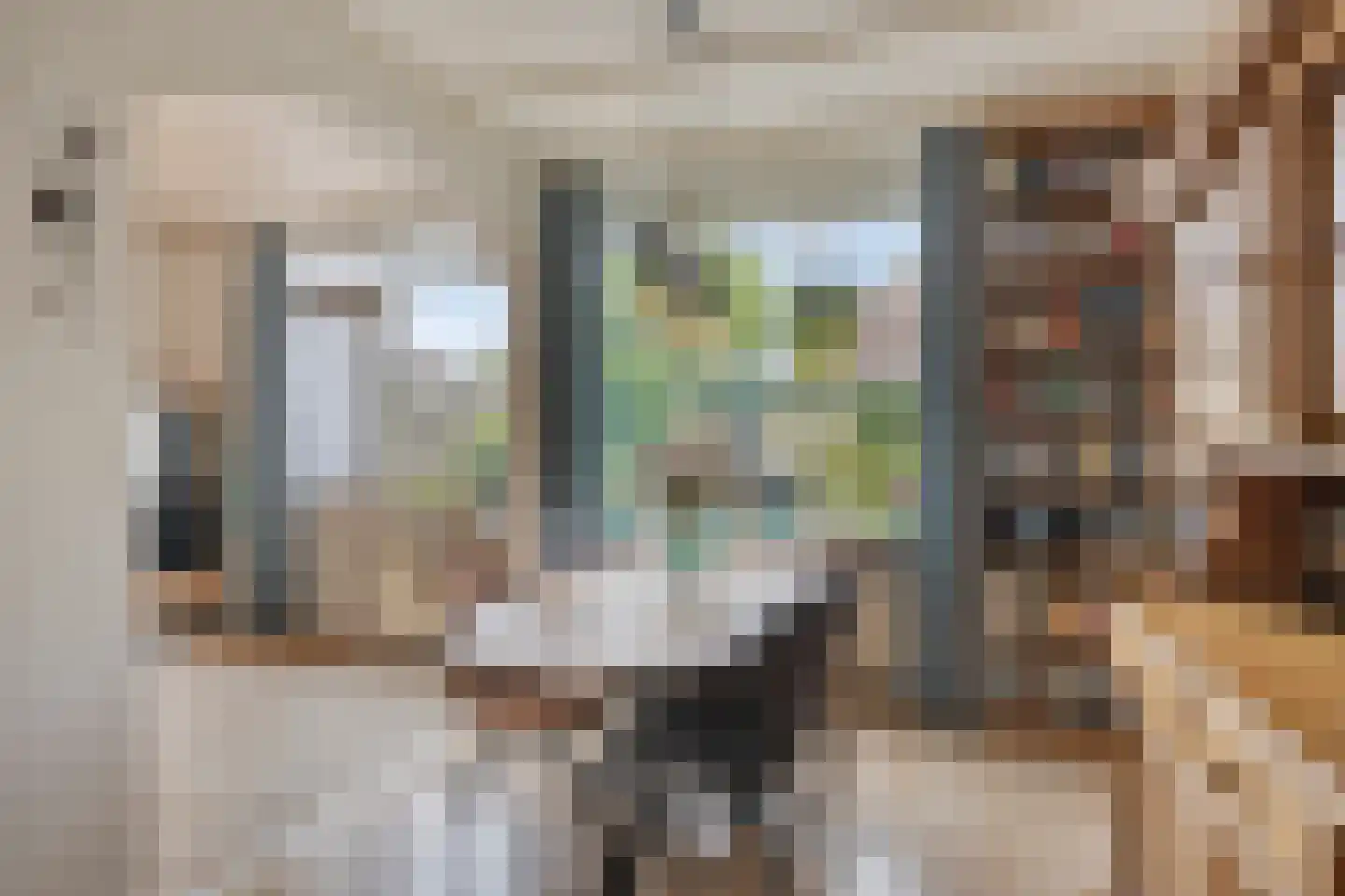Looierstraat 21 Duiven thumbnail 9