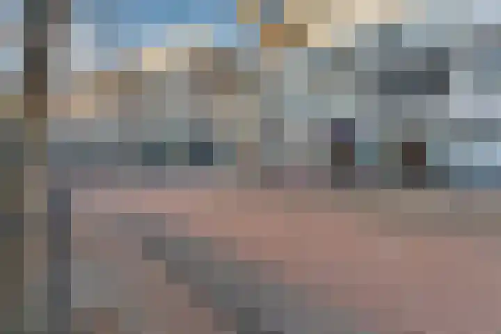 Looierstraat 22 2 Arnhem foto 3