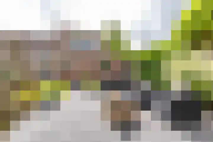 Looierstraat 22 2 Arnhem thumbnail 36
