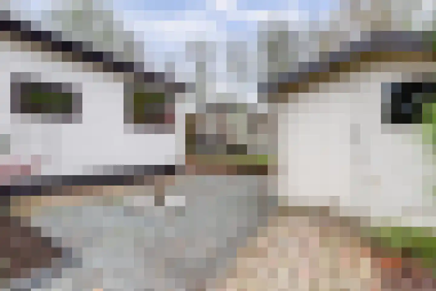 Looierstraat 22 2 Arnhem thumbnail 6
