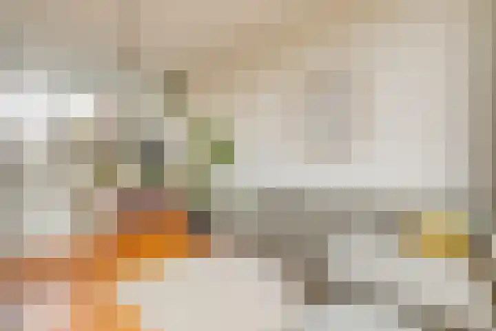 Looierstraat 22 2 Arnhem thumbnail 8