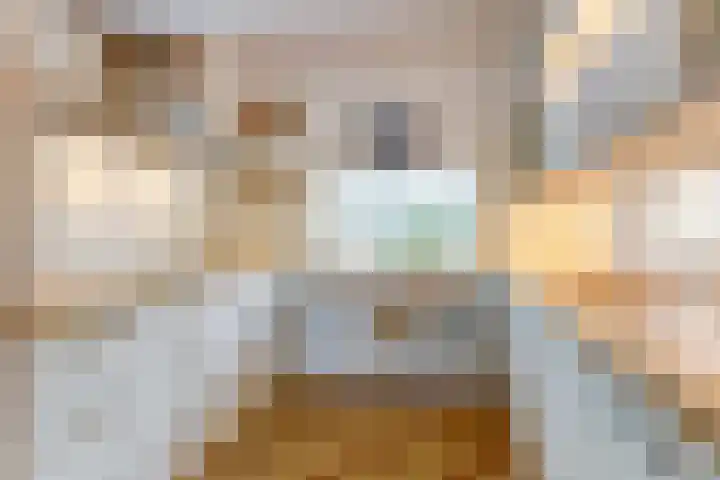 Looierstraat 25 Duiven thumbnail 12