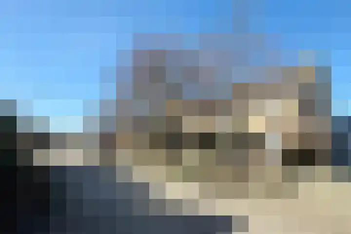 Looierstraat 25 Duiven thumbnail 16