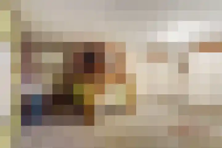 Looierstraat 25 Duiven thumbnail 30