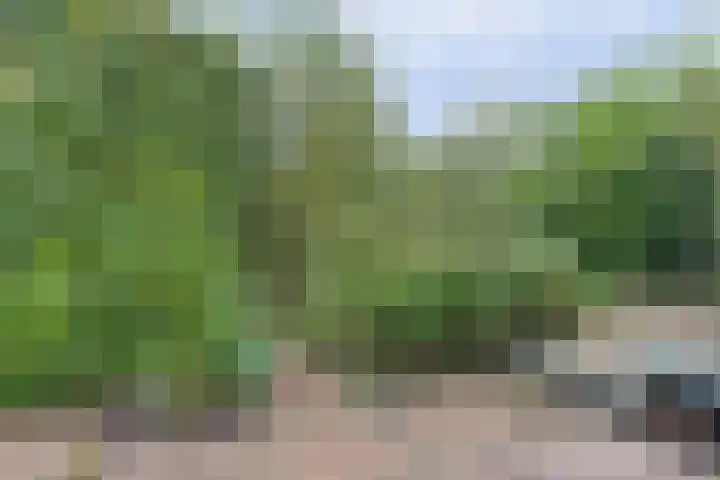 Looierstraat 25 Duiven thumbnail 32