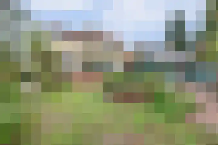 Looierstraat 25 Duiven thumbnail 34