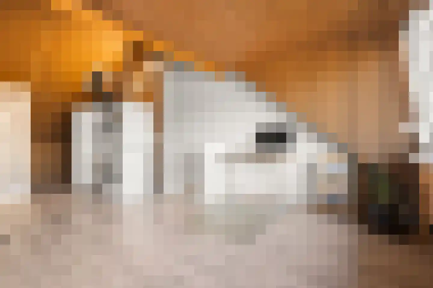 Looierstraat 25 Duiven thumbnail 35