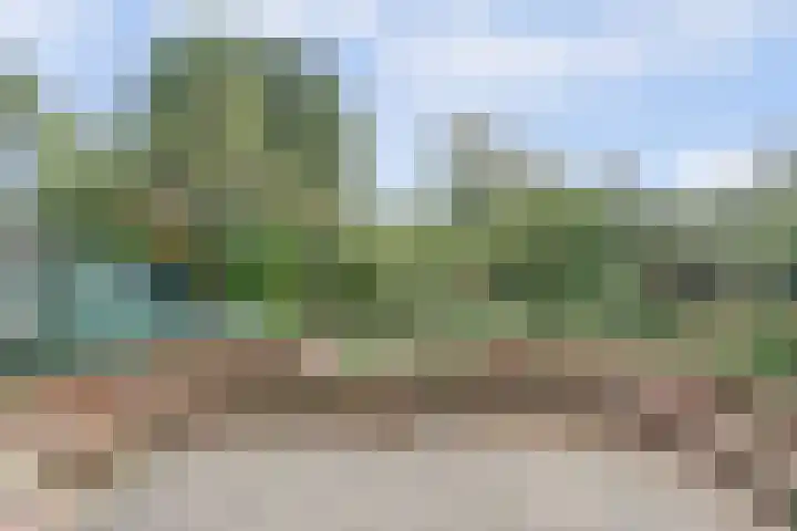 Looierstraat 25 Duiven thumbnail 39