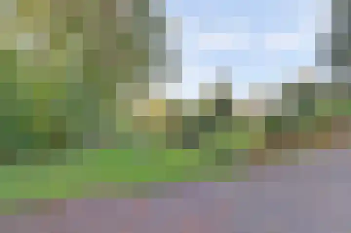 Looierstraat 25 Duiven thumbnail 43