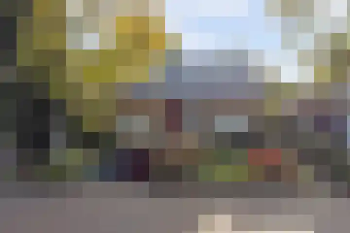 Looierstraat 25 Duiven thumbnail 45