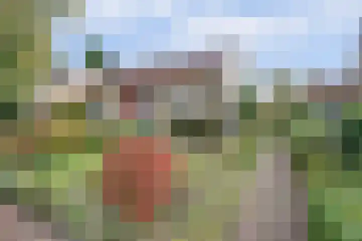 Looierstraat 25 Duiven thumbnail 47