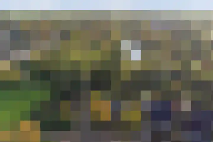 Looierstraat 25 Duiven thumbnail 52