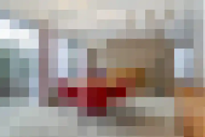 Looierstraat 25 Duiven thumbnail 7