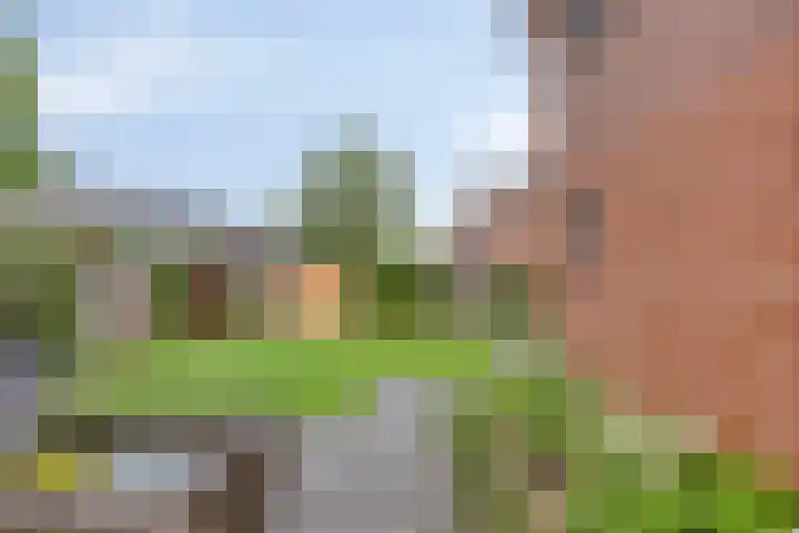 Looierstraat 25 Duiven thumbnail 8