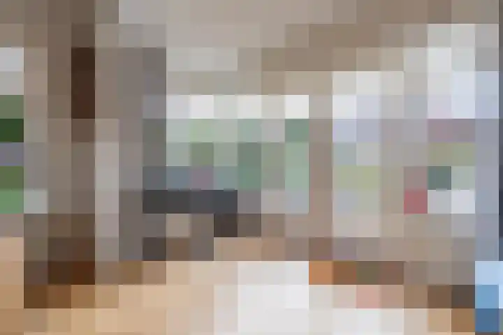 Looierstraat 4 Tiel thumbnail 21