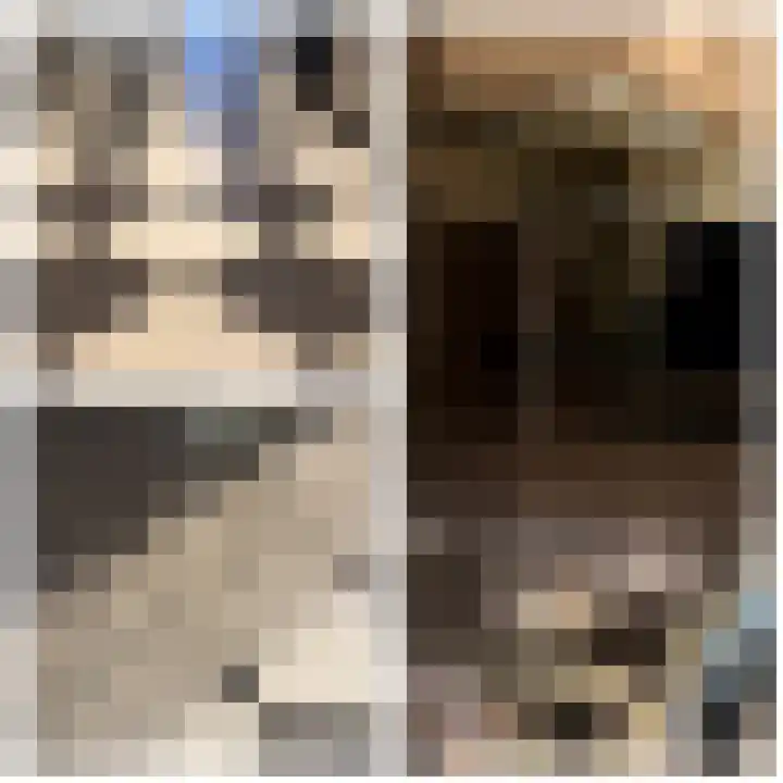Looierstraat 4 Tiel thumbnail 24