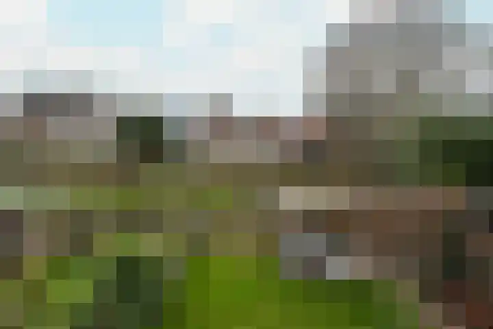 Looierstraat 4 Tiel thumbnail 34