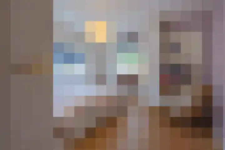 Looierstraat 4 Tiel thumbnail 38