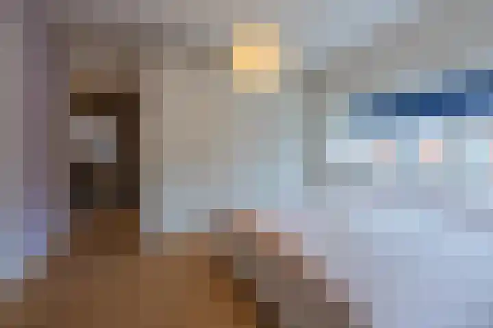 Looierstraat 4 Tiel thumbnail 39