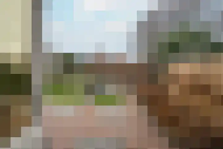 Looierstraat 4 Tiel thumbnail 40