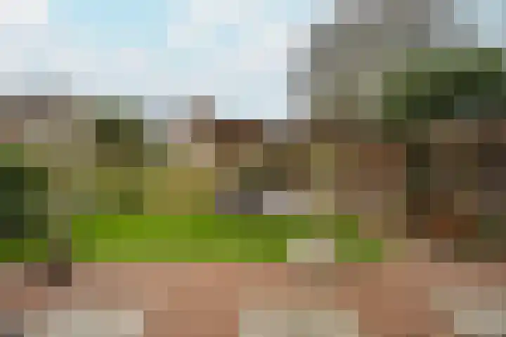 Looierstraat 4 Tiel thumbnail 42
