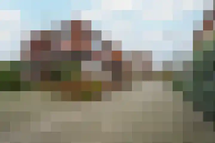 Looierstraat 4 Tiel thumbnail 5