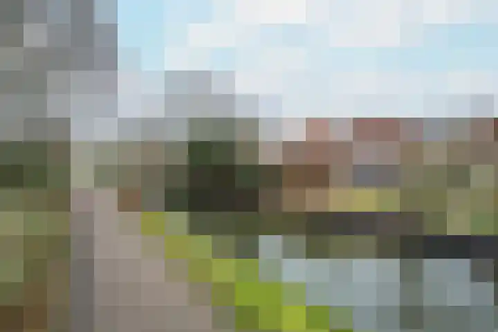 Looierstraat 4 Tiel thumbnail 54