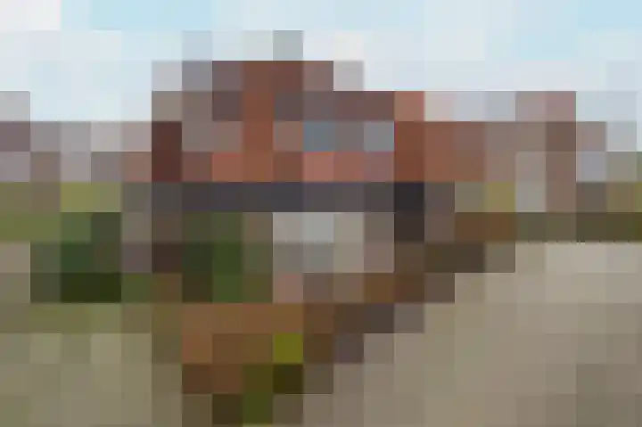 Looierstraat 4 Tiel thumbnail 6