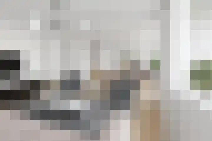 Looierstraat 41 Gulpen thumbnail 4