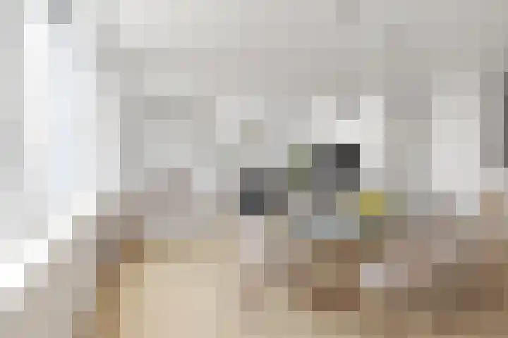 Looierstraat 41 Gulpen thumbnail 8