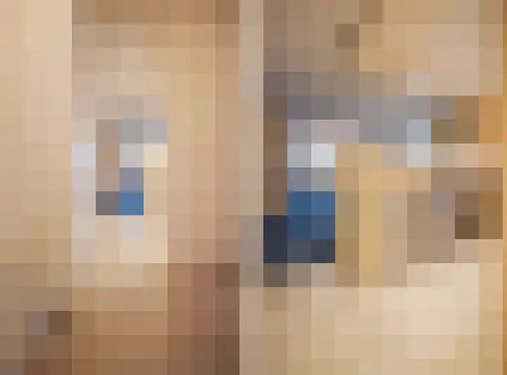 Looierstraat 48 b Velp thumbnail 13