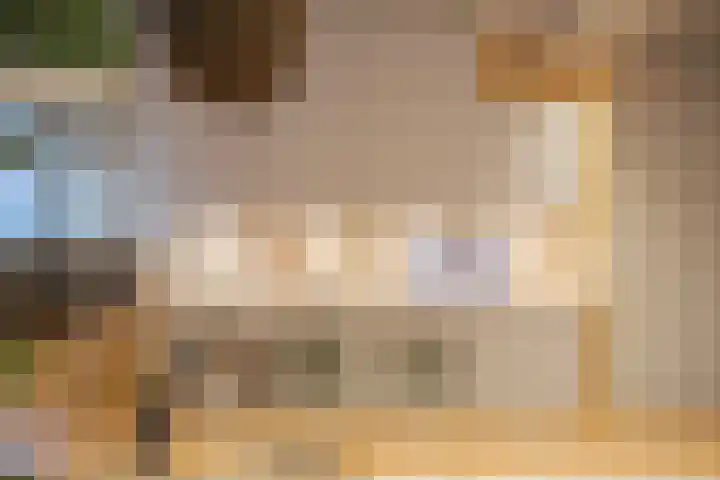 Looierstraat 48 b Velp thumbnail 14