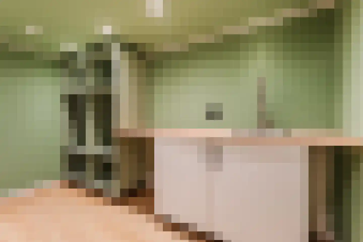 Looierstraat 5 Velp thumbnail 18
