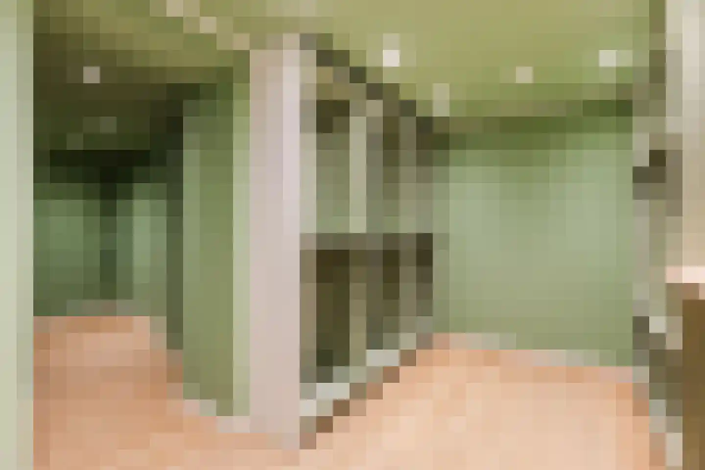 Looierstraat 5 Velp thumbnail 19