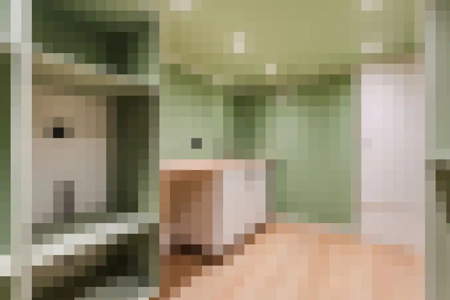 Looierstraat 5 Velp thumbnail 21