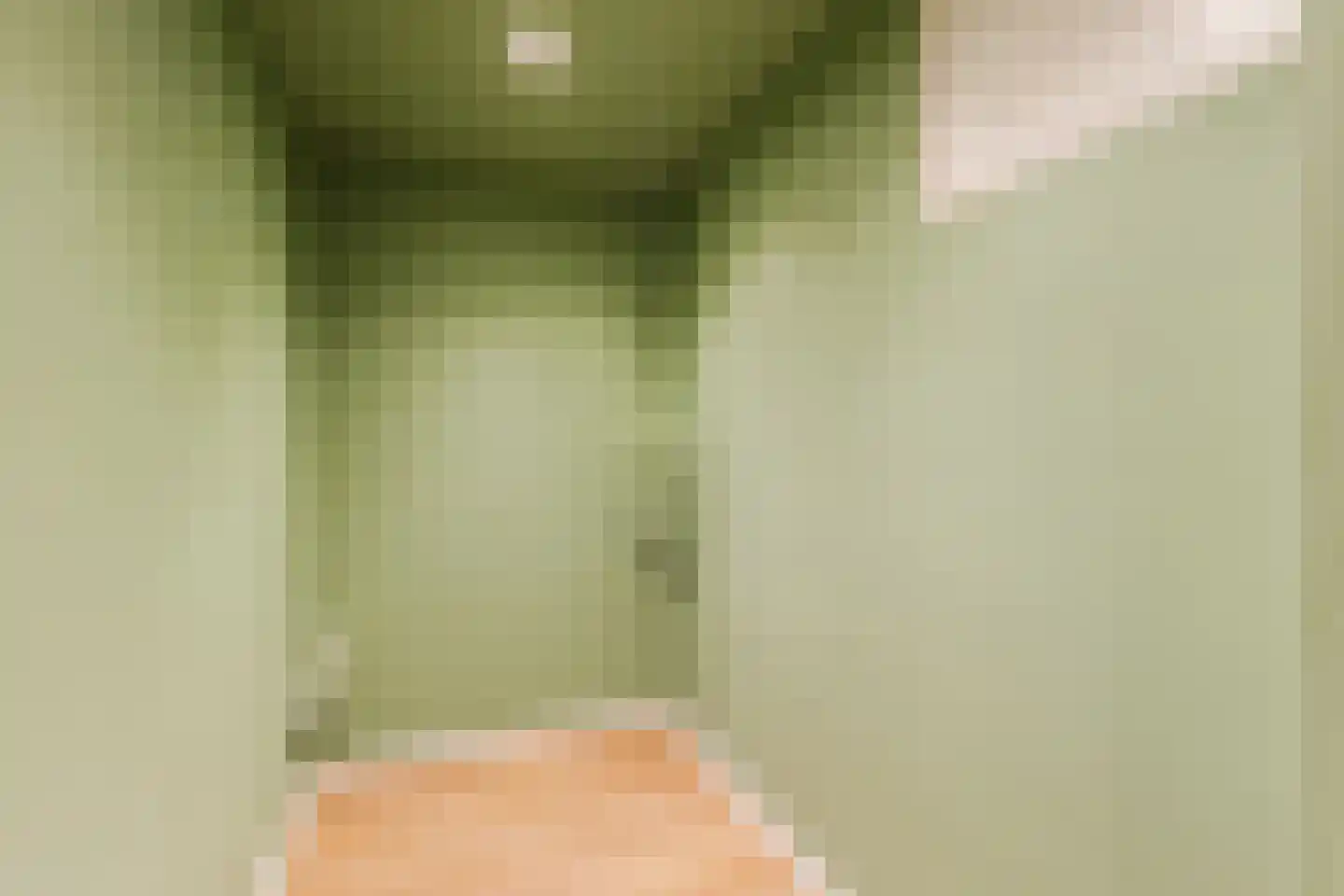 Looierstraat 5 Velp thumbnail 22