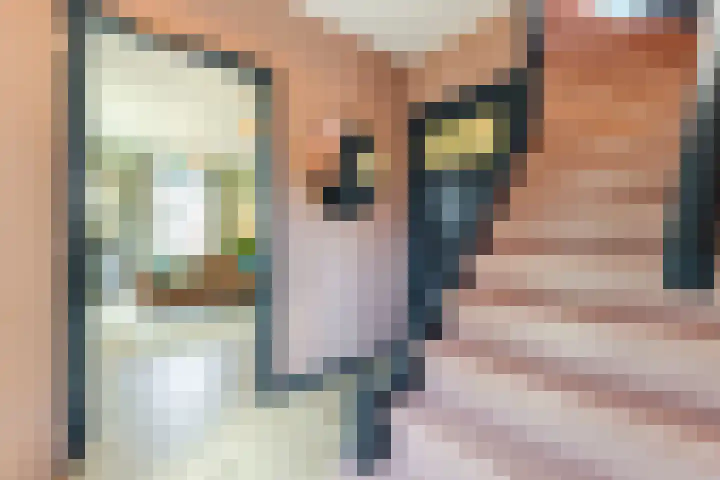 Looierstraat 5 Velp thumbnail 25