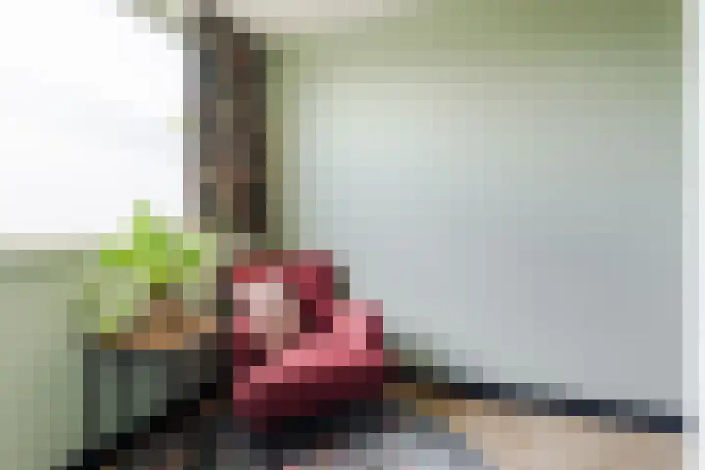 Looierstraat 5 Velp thumbnail 37