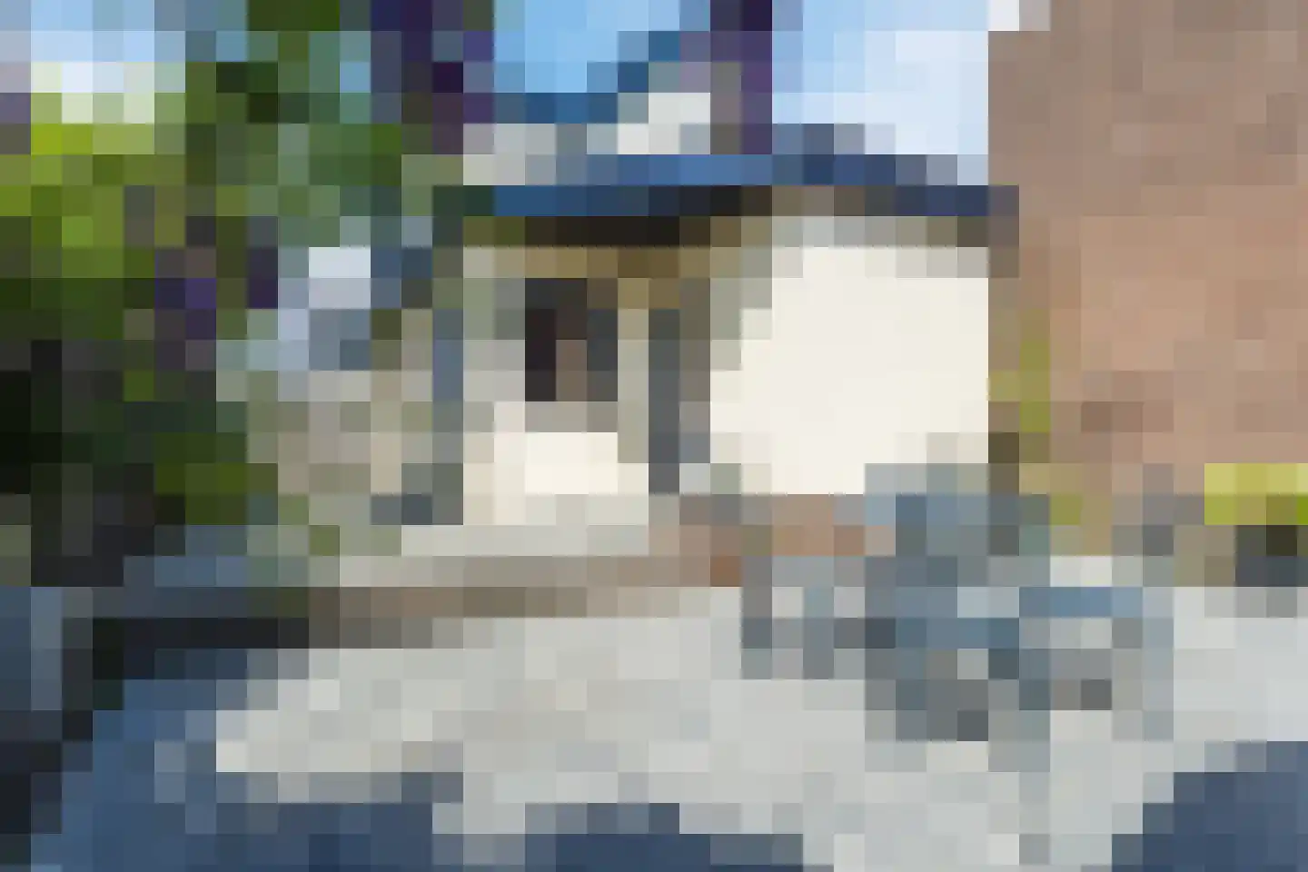 Looierstraat 5 Velp thumbnail 51