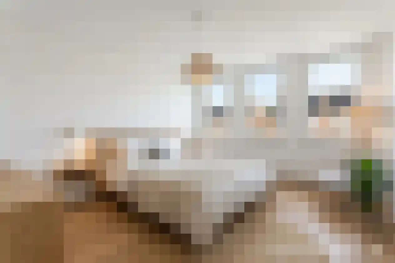 Looierstraat 7 Susteren thumbnail 20