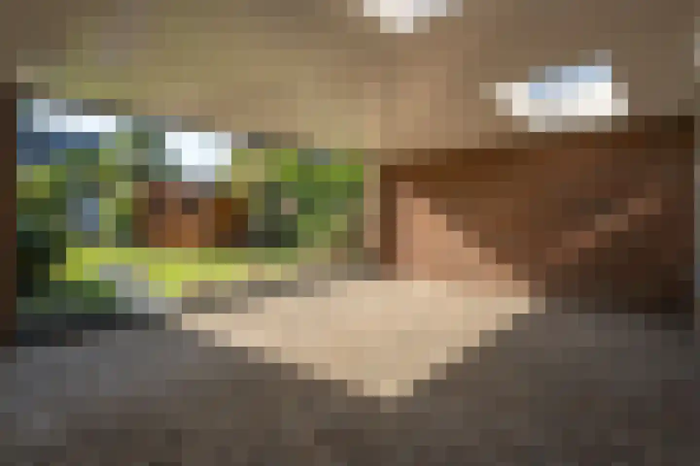 Looierstraat 7 Susteren thumbnail 35