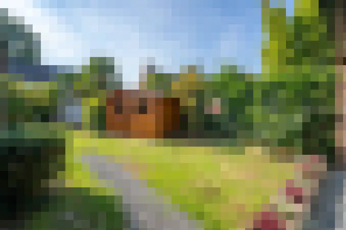 Looierstraat 7 Susteren thumbnail 37