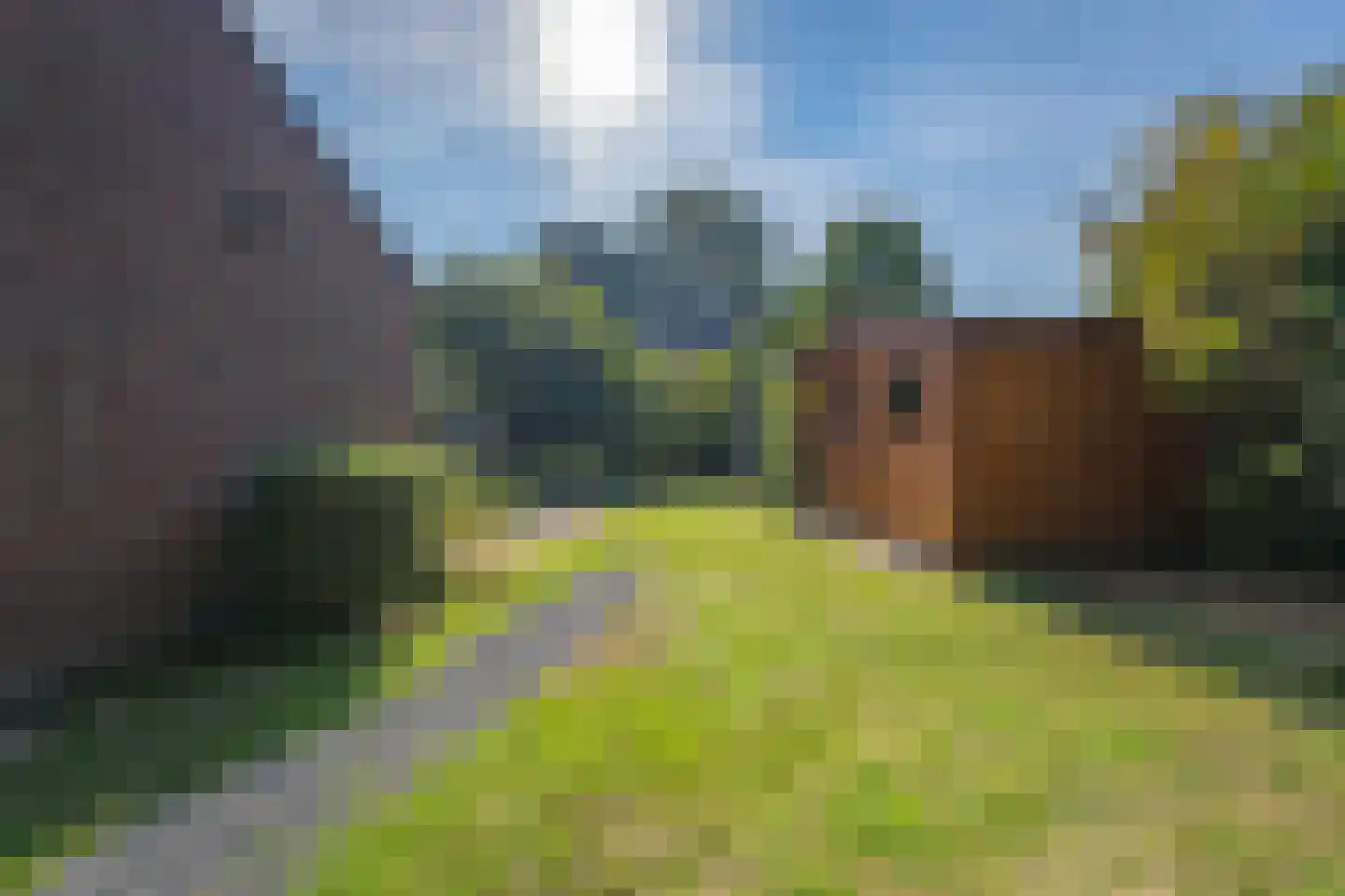 Looierstraat 7 Susteren thumbnail 39