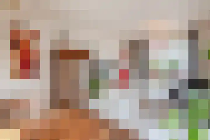 Looierstraat 7 Velp thumbnail 10