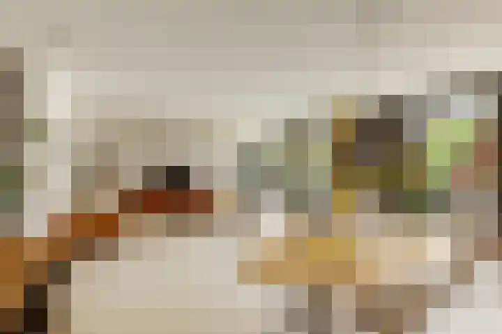 Looierstraat 7 Velp thumbnail 14