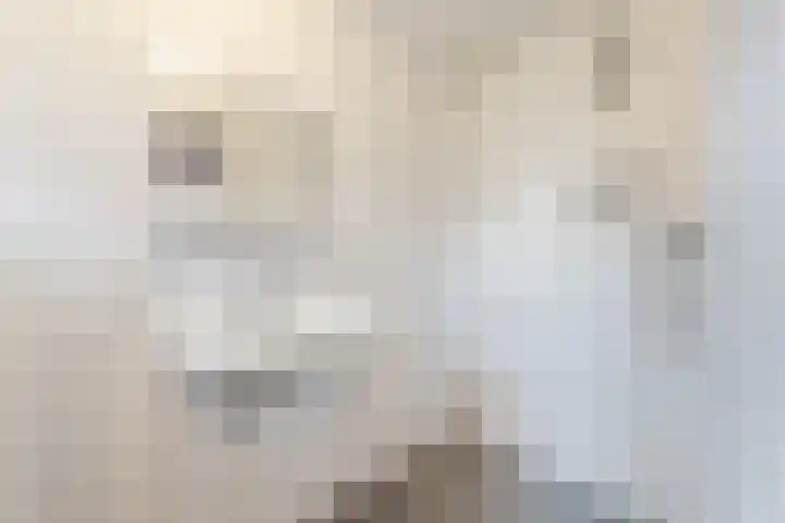 Looierstraat 7 Velp thumbnail 14