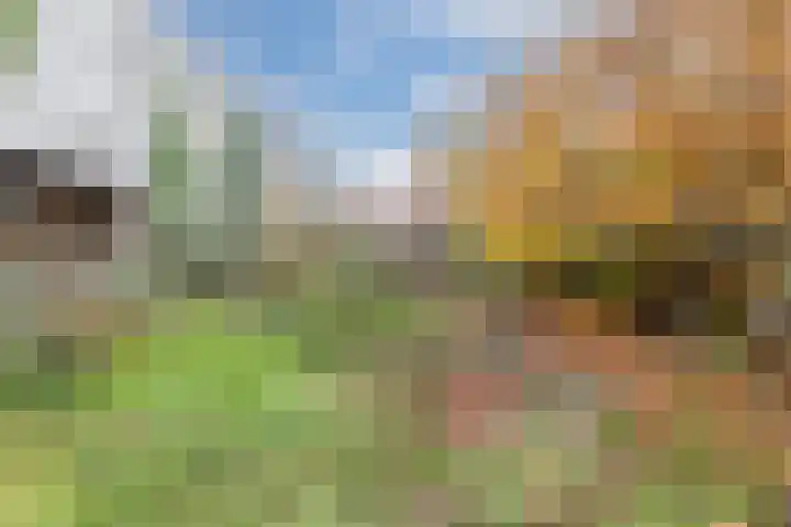 Looierstraat 7 Velp thumbnail 26