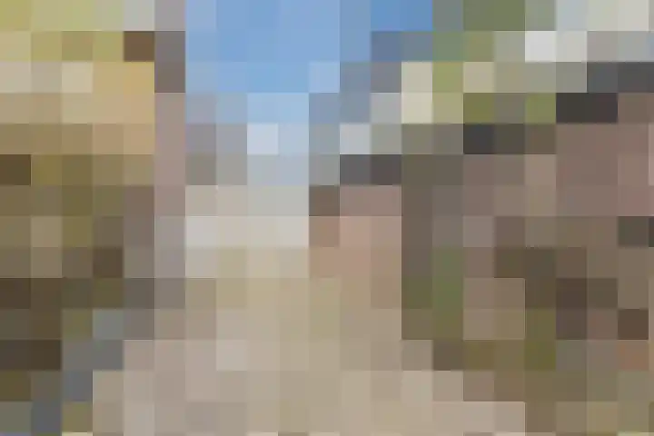 Looierstraat 7 Velp thumbnail 28